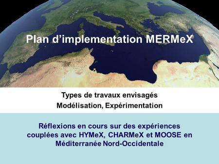 Plan d’implementation MERMeX