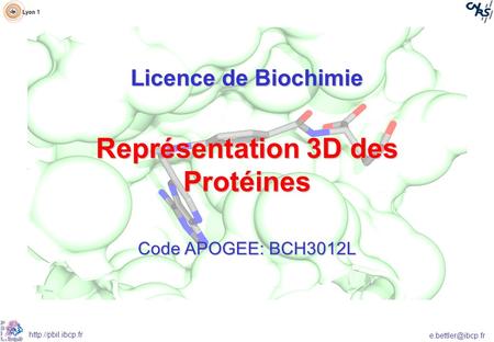 Représentation 3D des Protéines