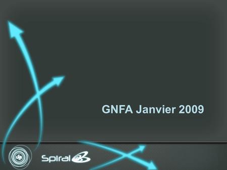 GNFA Janvier 2009. Sciences Santé Sport 10 sites sur lagglomération Lyon 1 : une université de masse 2 090 enseignants et enseignants chercheurs 35 075.