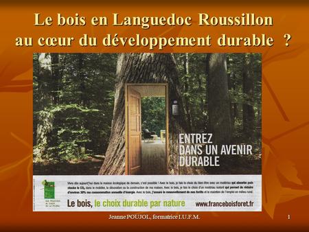 Le bois en Languedoc Roussillon au cœur du développement durable ?