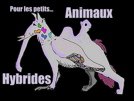 Pour les petits… Animaux Hybrides.