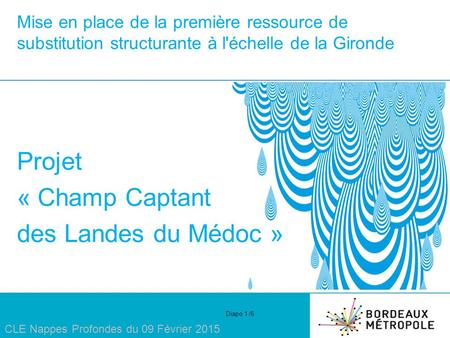 Mise en place de la première ressource de substitution structurante à l'échelle de la Gironde Projet « Champ Captant des Landes du Médoc » CLE Nappes Profondes.
