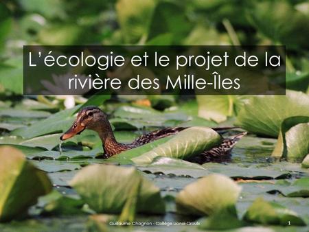 L’écologie et le projet de la rivière des Mille-Îles
