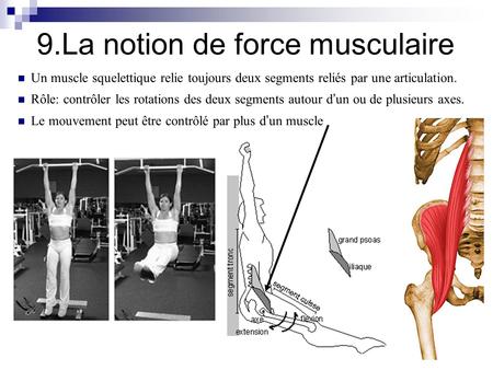 9.La notion de force musculaire