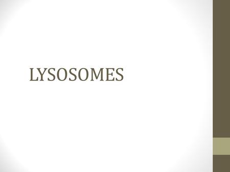 LYSOSOMES.