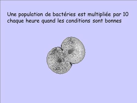 Une population de bactéries est multipliée par 10 chaque heure quand les conditions sont bonnes.