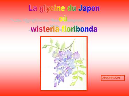 AUTOMATIQUE Ashikaga Flower Park, Japon Tochigi province, célèbre pour différents types de Wisteria. Le parc présente un grand nombre de couleurs : bleu,