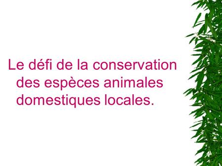 Le défi de la conservation des espèces animales domestiques locales.