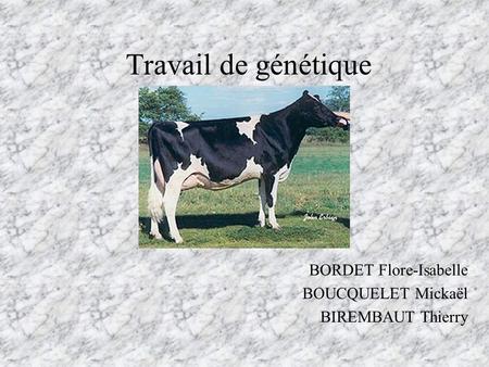 BORDET Flore-Isabelle BOUCQUELET Mickaël BIREMBAUT Thierry