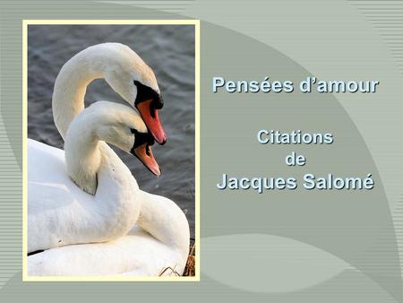 Pensées d’amour Citations de Jacques Salomé