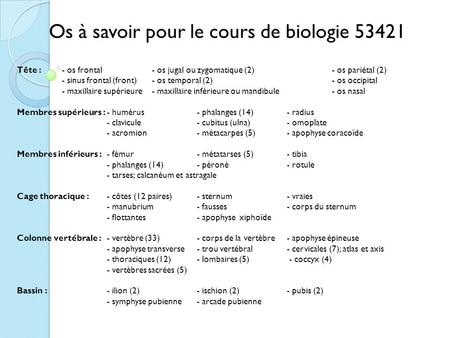 Os à savoir pour le cours de biologie 53421