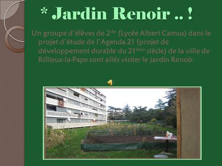 * Jardin Renoir .. ! Un groupe d’élèves de 2de (Lycée Albert Camus) dans le projet d’étude de l’Agenda 21 (projet de développement durable du 21ème siècle)
