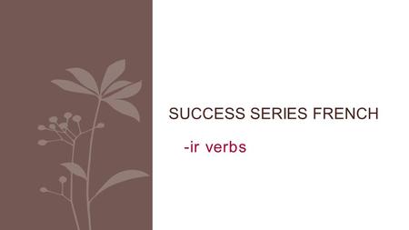 Success Series French -ir verbs.