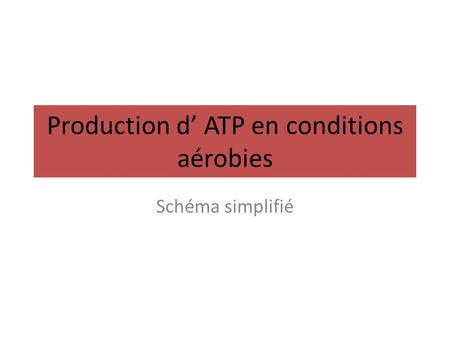 Production d’ ATP en conditions aérobies
