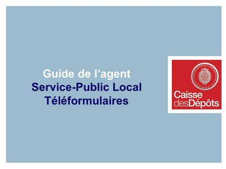 Guide de l’agent Service-Public Local Téléformulaires.