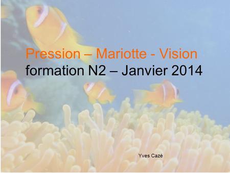 Pression – Mariotte - Vision formation N2 – Janvier 2014