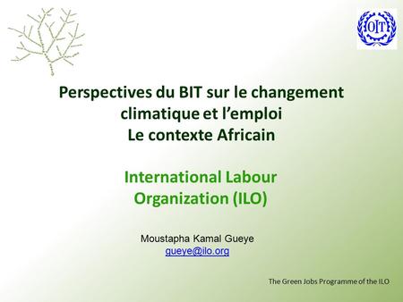 The Green Jobs Programme of the ILO Perspectives du BIT sur le changement climatique et l’emploi Le contexte Africain International Labour Organization.