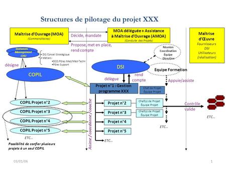 Structures de pilotage du projet XXX