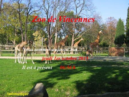 Zoo de Vincennes Nous sommes aujourd’hui jeudi 1er octobre 2015 Il est à présent 06:57 h Automatique.