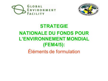 STRATEGIE NATIONALE DU FONDS POUR L’ENVIRONNEMENT MONDIAL (FEM4/5): Éléments de formulation.