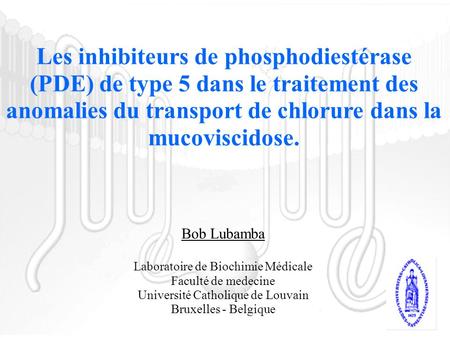 Les inhibiteurs de phosphodiestérase (PDE) de type 5 dans le traitement des anomalies du transport de chlorure dans la mucoviscidose. Bob Lubamba Laboratoire.