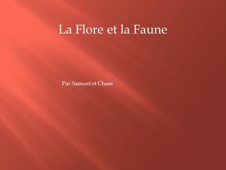 La Flore et la Faune Par Samuel et Chase.