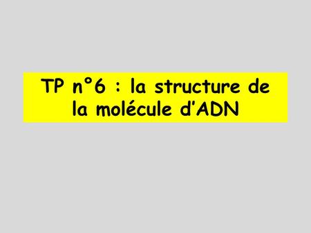 TP n°6 : la structure de la molécule d’ADN