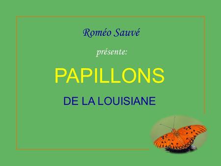 Roméo Sauvé présente: PAPILLONS DE LA LOUISIANE.