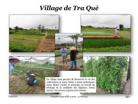 Village de Tra Qué 19/04/2015 Vietnam voyage APSE 21 mars - 5 avril 2015 101 Ce village nous permet de découvrir la vie des cultivateurs et nous initier.
