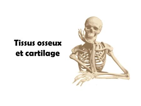 Tissus osseux et cartilage