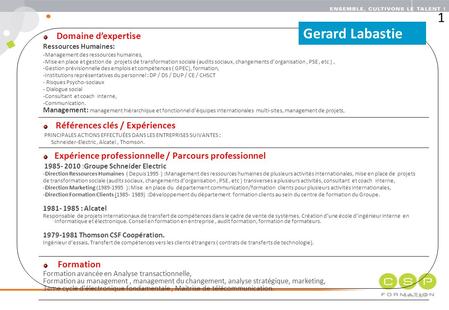 CSP Formation © www.csp.fr www.csp.fr Domaine d’expertise Ressources Humaines: -Management des ressources humaines, -Mise en place et gestion de projets.