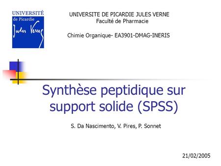 Synthèse peptidique sur support solide (SPSS)