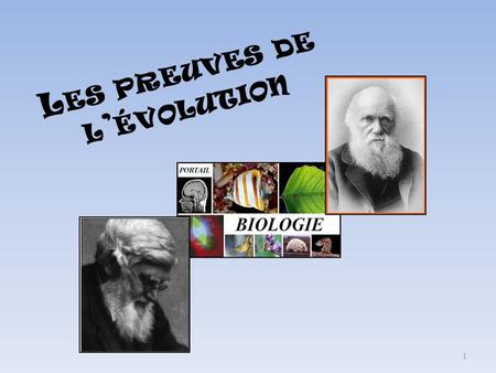 Les preuves de l’évolution