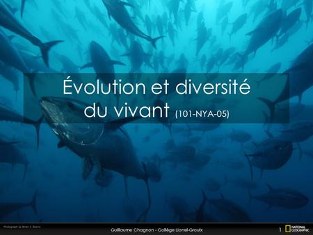 Évolution et diversité du vivant (101-NYA-05)