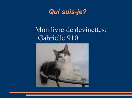 Mon livre de devinettes: Gabrielle 910
