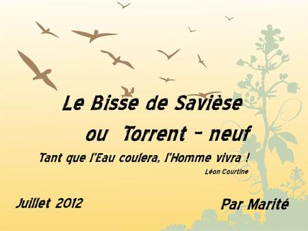 Le Bisse de Savièse ou Torrent – neuf Par Marité Juillet 2012