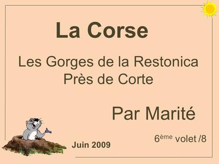 Les Gorges de la Restonica Près de Corte La Corse Juin 2009 Par Marité 6 ème volet /8.