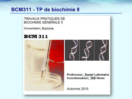 BCM311 - TP de biochimie II Automne 2015.