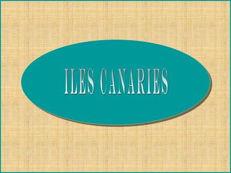 Iles Canaries.
