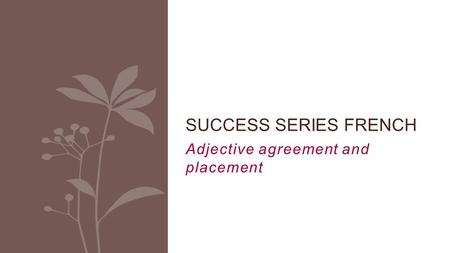 Adjective agreement and placement SUCCESS SERIES FRENCH.