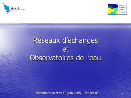 1 Réseaux d’échanges et Observatoires de l’eau Séminaire du 9 et 10 juin 2005 – Atelier n°1.