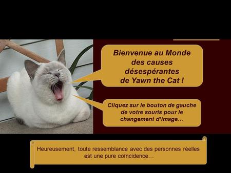 Bienvenue au Monde des causes désespérantes de Yawn the Cat ! Cliquez sur le bouton de gauche de votre souris pour le changement d’image… Heureusement,