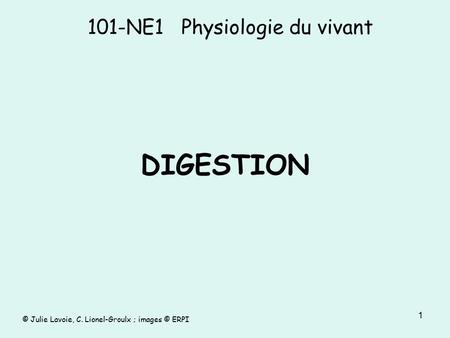 101-NE1 Physiologie du vivant