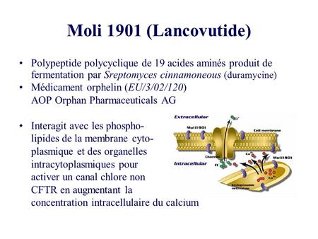 Moli 1901 (Lancovutide) Polypeptide polycyclique de 19 acides aminés produit de fermentation par Sreptomyces cinnamoneous (duramycine) Médicament orphelin.