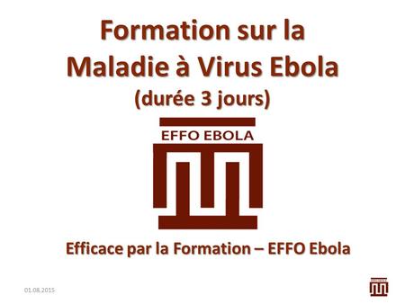 Formation sur la Maladie à Virus Ebola (durée 3 jours)