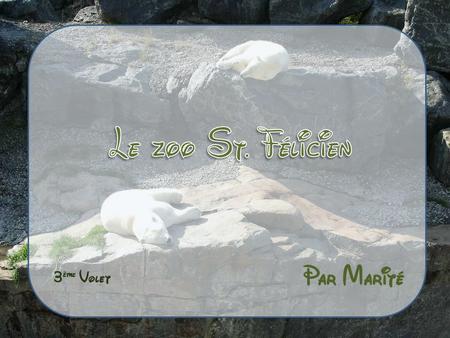 > Par Marité 3 ème Volet Le zoo sauvage de St. Félicien couvre une superficie de plus de 500 hectares. C’est environ 80 espèces d’animaux. Au total il.