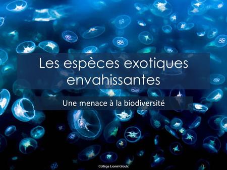 Collège Lionel-Groulx Les espèces exotiques envahissantes Une menace à la biodiversité 1.