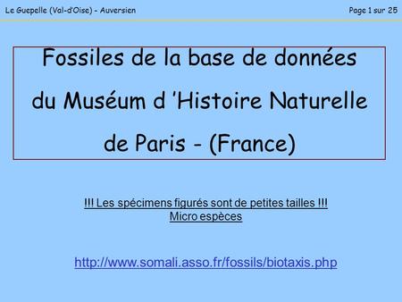 Fossiles de la base de données