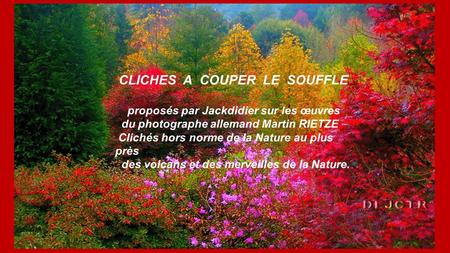 CLICHES A COUPER LE SOUFFLE proposés par Jackdidier sur les œuvres du photographe allemand Martin RIETZE Clichés hors norme de la Nature au plus près.