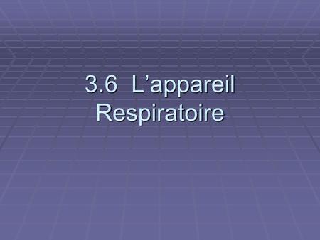 3.6 L’appareil Respiratoire